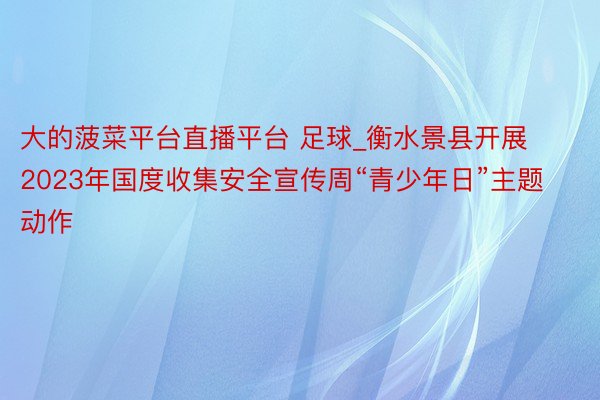 大的菠菜平台直播平台 足球_衡水景县开展2023年国度收集安全宣传周“青少年日”主题动作